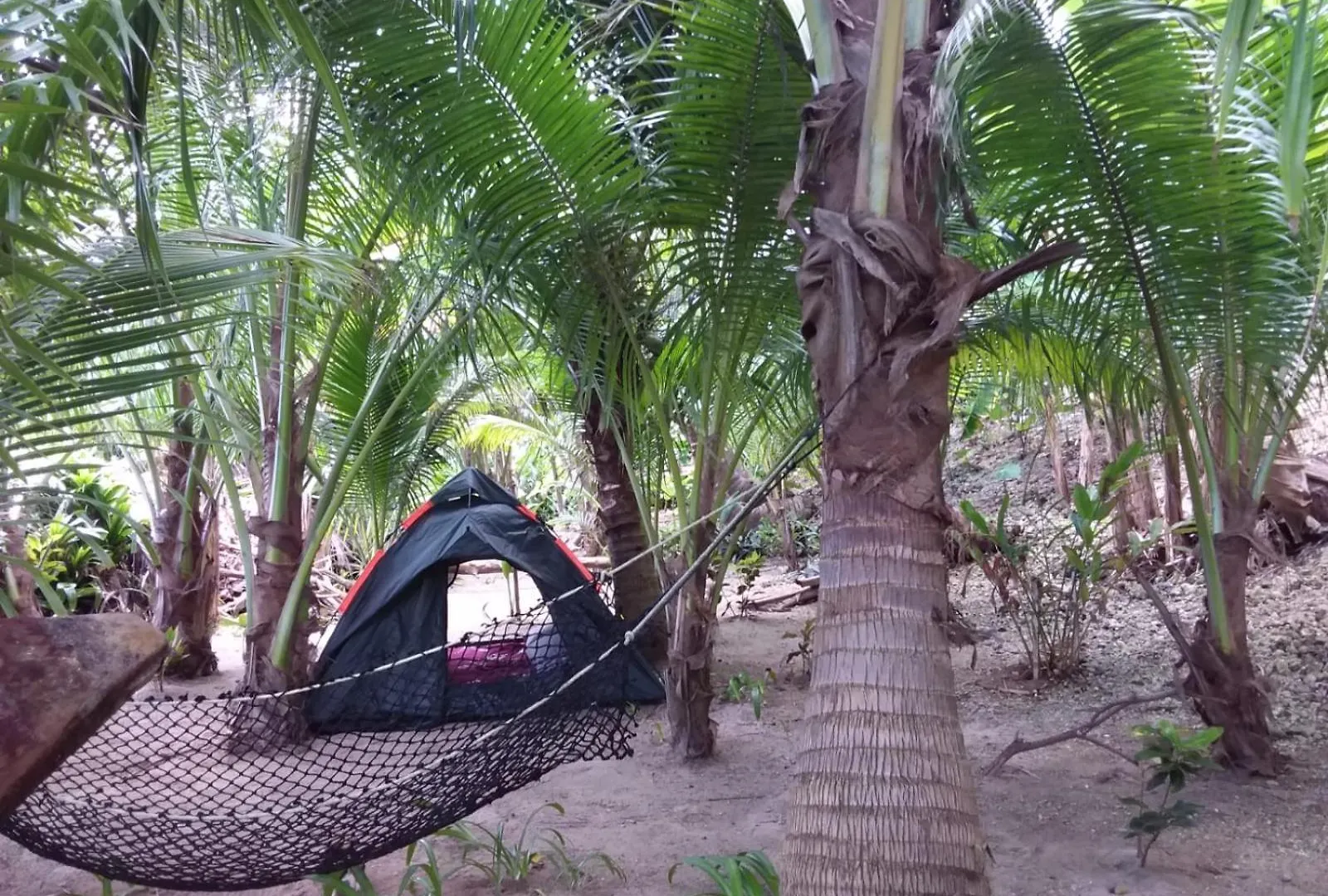 Port Antonio Brian'S Beach House Bed and Breakfast