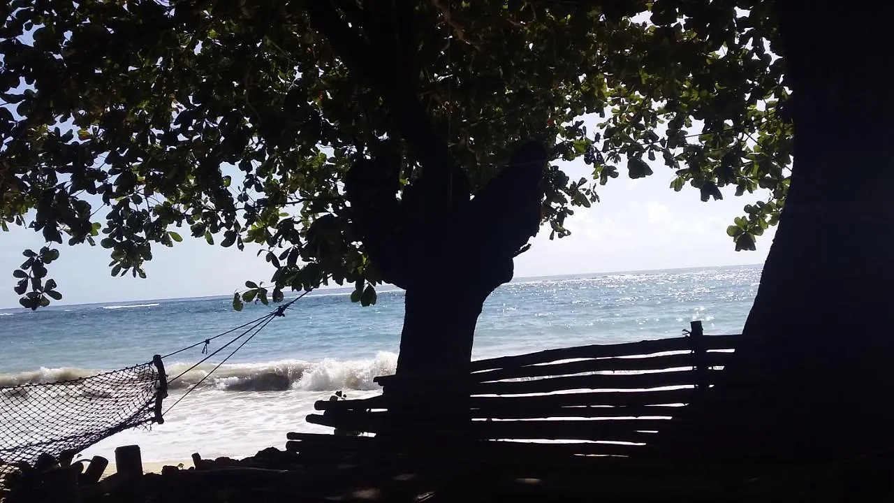 Bed & Breakfast Port Antonio Brian'S Beach House Jamaica