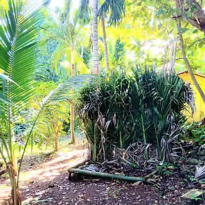 3* Resort La Familia And Natural Farm