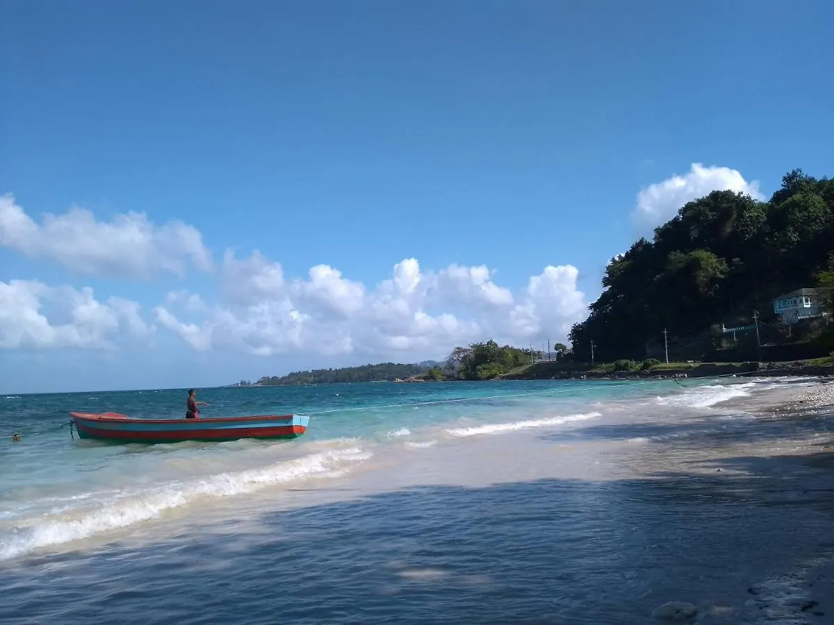 Port Antonio Brian'S Beach House Bed & Breakfast