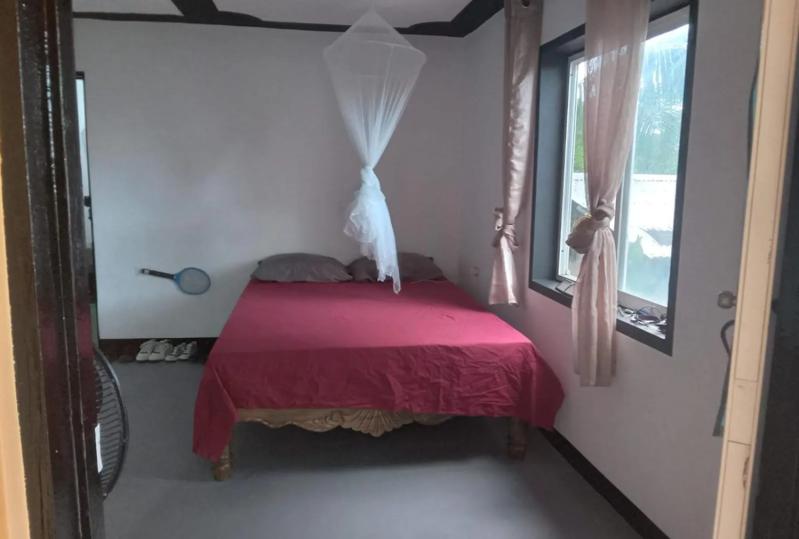 Port Antonio Brian'S Beach House Bed & Breakfast Jamaica