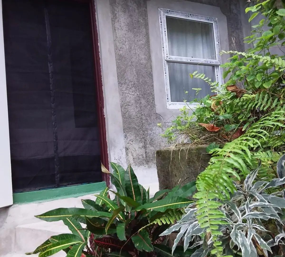 Port Antonio Brian'S Beach House Bed & Breakfast