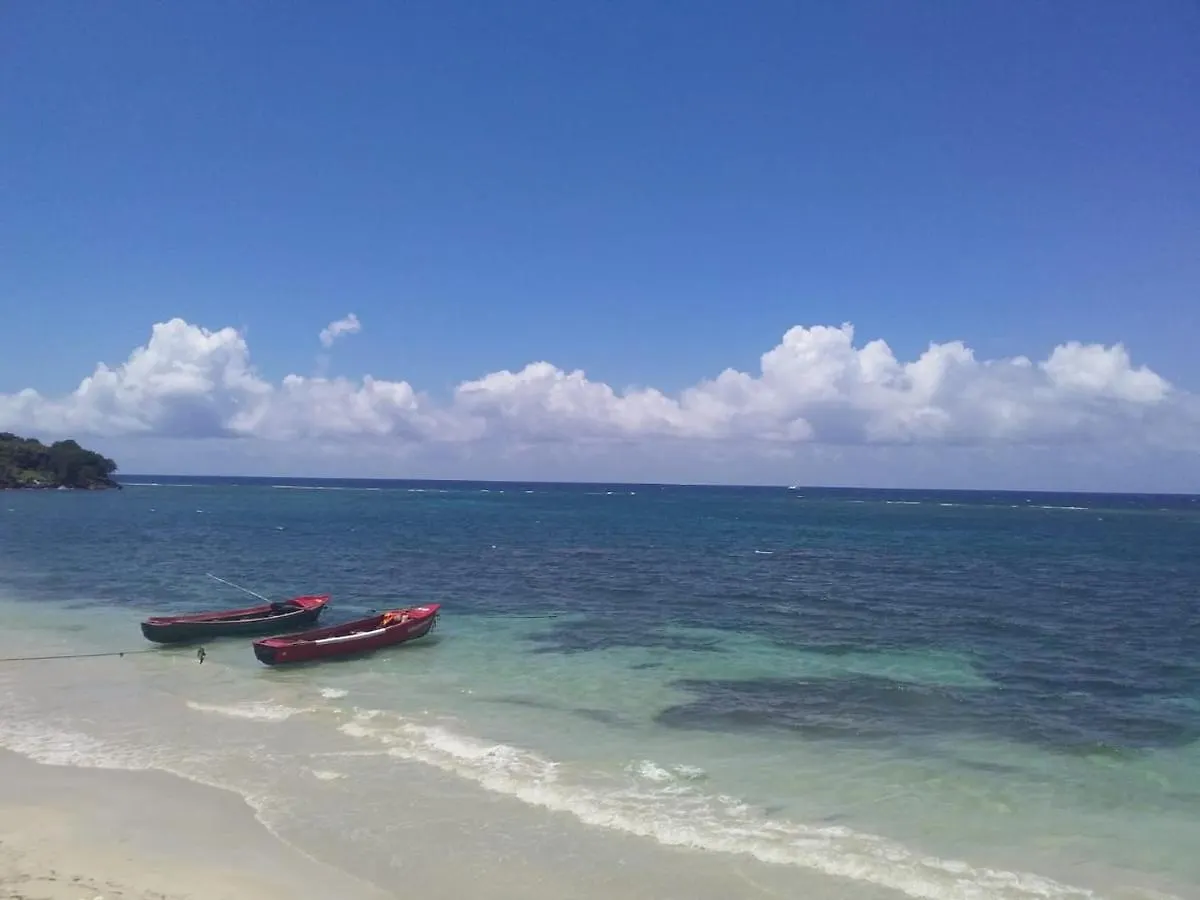 Port Antonio Brian'S Beach House Bed & Breakfast